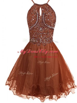 Elegant Halter Top Sleeveless Zipper Dress for Prom Brown Organza