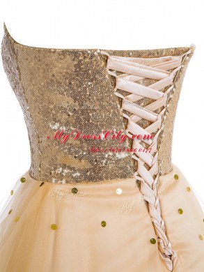 Sexy Sequins Sweetheart Sleeveless Lace Up Prom Dress Champagne Organza