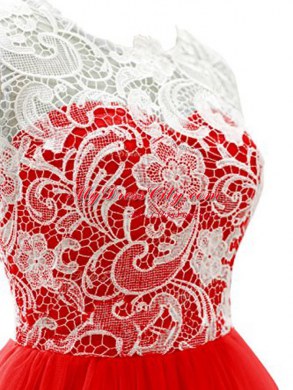 Hot Sale Red Chiffon Clasp Handle Scoop Sleeveless Mini Length Evening Dress Lace