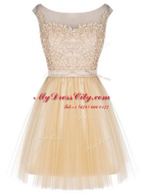 Champagne Empire Lace Party Dress for Toddlers Zipper Tulle Sleeveless Mini Length