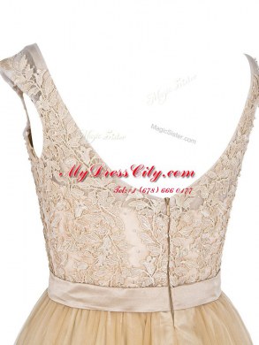 Champagne Empire Lace Party Dress for Toddlers Zipper Tulle Sleeveless Mini Length