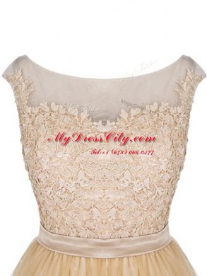Champagne Empire Lace Party Dress for Toddlers Zipper Tulle Sleeveless Mini Length