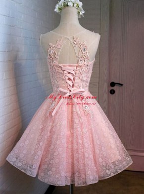 Inexpensive Scoop Pink Sleeveless Lace Lace Up Prom Dress for Prom