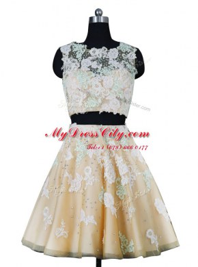 Champagne Zipper Scoop Beading and Appliques Organza Sleeveless