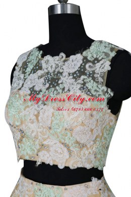 Champagne Zipper Scoop Beading and Appliques Organza Sleeveless