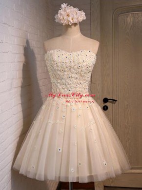 Fashionable Champagne A-line Appliques Prom Dress Lace Up Organza Sleeveless Mini Length