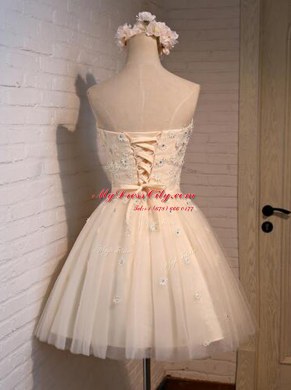 Fashionable Champagne A-line Appliques Prom Dress Lace Up Organza Sleeveless Mini Length