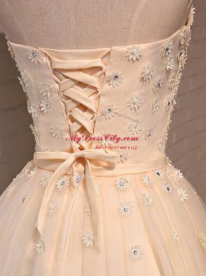 Fashionable Champagne A-line Appliques Prom Dress Lace Up Organza Sleeveless Mini Length