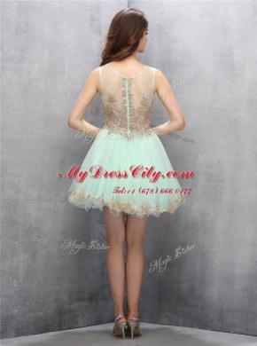 Stylish Apple Green Zipper Scoop Appliques Prom Dresses Tulle Sleeveless
