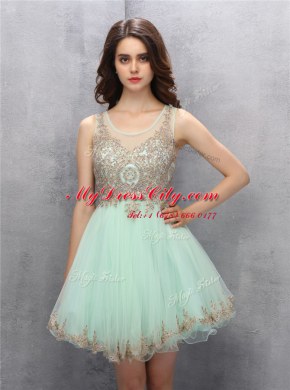 Stylish Apple Green Zipper Scoop Appliques Prom Dresses Tulle Sleeveless