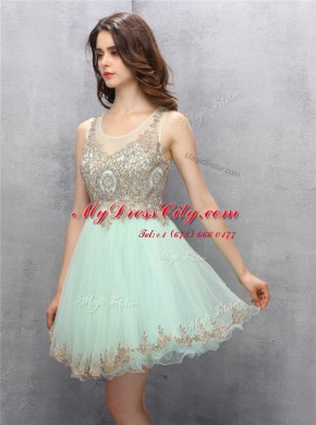 Stylish Apple Green Zipper Scoop Appliques Prom Dresses Tulle Sleeveless