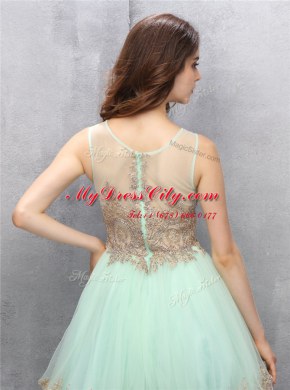 Stylish Apple Green Zipper Scoop Appliques Prom Dresses Tulle Sleeveless