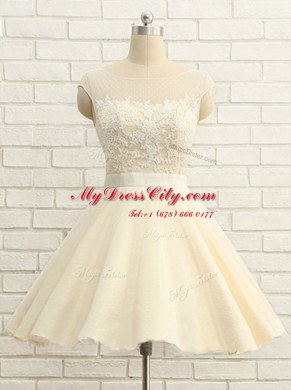 Amazing Scoop Knee Length Champagne Homecoming Dress Organza Cap Sleeves Lace