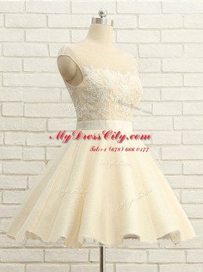 Amazing Scoop Knee Length Champagne Homecoming Dress Organza Cap Sleeves Lace