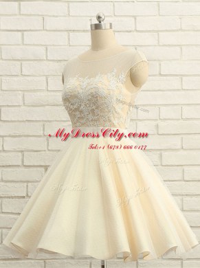 Amazing Scoop Knee Length Champagne Homecoming Dress Organza Cap Sleeves Lace
