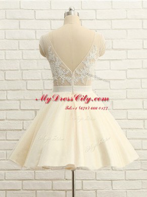 Amazing Scoop Knee Length Champagne Homecoming Dress Organza Cap Sleeves Lace