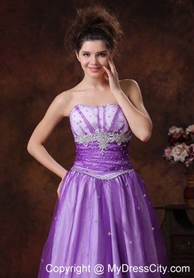 Beaded Appliques Strapless Lavender Tulle Prom Gowns