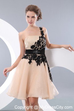 Champagne One Shoulder Prom Homecoming Dress with Appliques