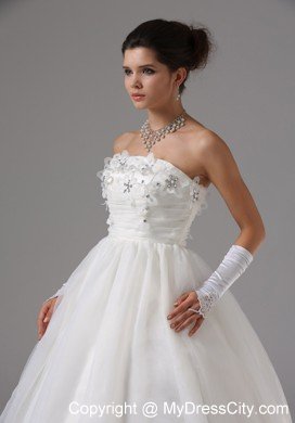 2013 Appliques Decorated Bust Strapless Ball Gown Bridal dress