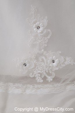 Pretty Strapless Appliques Wedding Dress with Transparent Waist