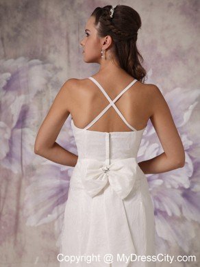 Sheath Spaghetti Straps Brush Train Lace Beaded Wedding Dress