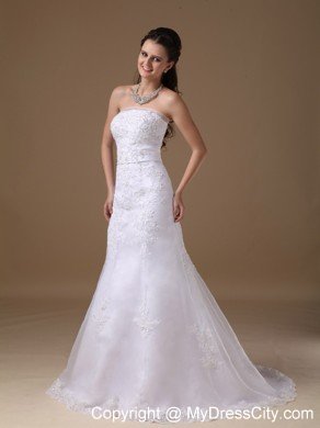 Beautiful A-line Brush Train Lace Wedding Dress with Bowknot