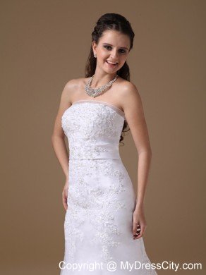 Beautiful A-line Brush Train Lace Wedding Dress with Bowknot