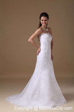 Beautiful A-line Brush Train Lace Wedding Dress with Bowknot