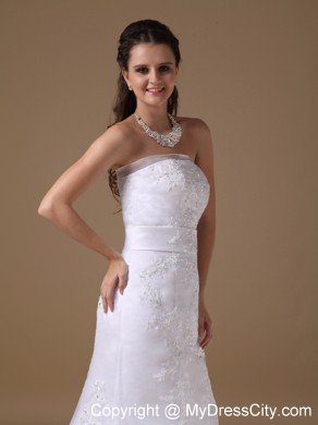 Beautiful A-line Brush Train Lace Wedding Dress with Bowknot