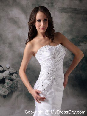 Column Brush Train Appliques Decorated Satin Dress for Wedding