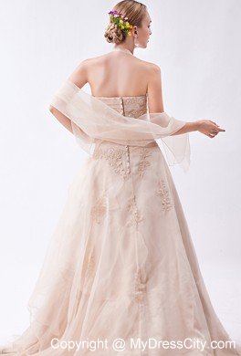 Elegant Column Halter Lace Appliques Summer Wedding Gowns Champagne