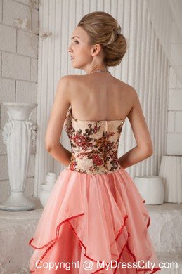 Watermelon Column Strapless Organza Appliques Dress for Prom