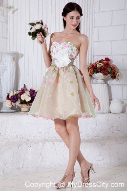 A-line Sweetheart Mini-length Organza Flower Prom Dress for Girls