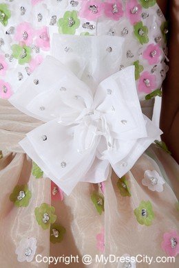A-line Sweetheart Mini-length Organza Flower Prom Dress for Girls