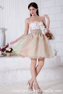 A-line Sweetheart Mini-length Organza Flower Prom Dress for Girls
