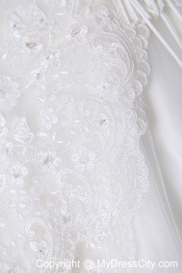 A-line Cathedral Train Strapless Wedding Dress Taffeta with Lace