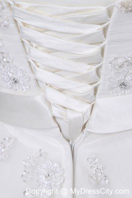 A-line Cathedral Train Strapless Wedding Dress Taffeta with Lace