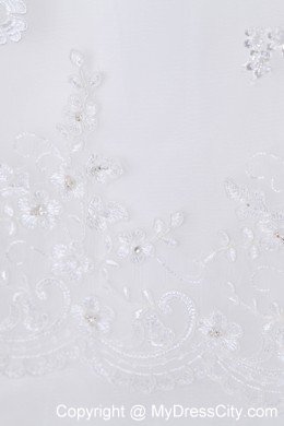 A-line Cathedral Train Strapless Wedding Dress Taffeta with Lace