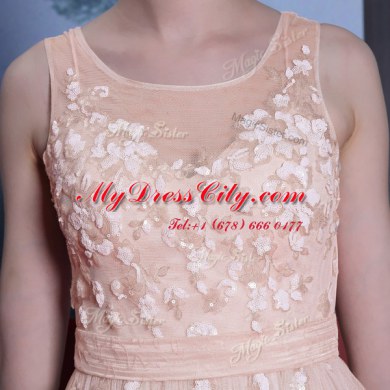 Baby Pink Scoop Side Zipper Lace Evening Dress Sleeveless