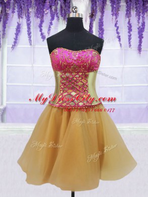 Glorious Four Piece Sleeveless With Train Beading and Lace and Ruffles Lace Up Quinceanera Gowns with Hot Pink and Gold Brush Train