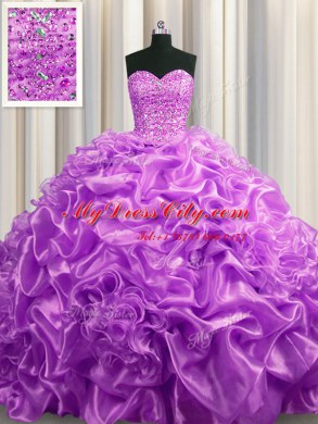 Superior Organza Sleeveless With Train Sweet 16 Quinceanera Dress Court Train and Beading and Pick Ups