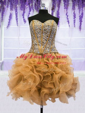 Four Piece Sweetheart Sleeveless Organza 15th Birthday Dress Beading and Ruffles Lace Up