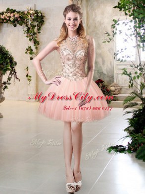 Elegant Ball Gowns Sweet 16 Quinceanera Dress Peach Scoop Tulle Sleeveless Floor Length Lace Up