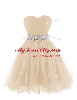 Sweetheart Sleeveless Lace Up Prom Evening Gown Champagne Organza