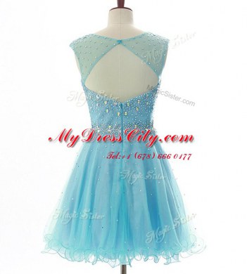 Bateau Sleeveless Zipper Prom Gown Baby Blue Tulle