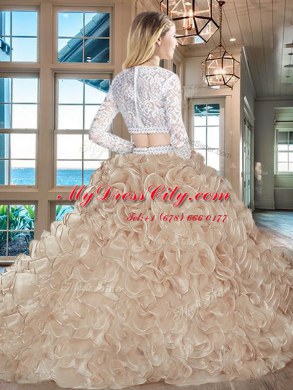 Organza Scoop Long Sleeves Brush Train Zipper Beading and Lace and Ruffles 15 Quinceanera Dress in Pink