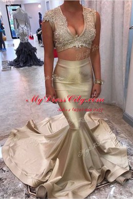 Mermaid Champagne Satin Zipper Homecoming Dress Sleeveless Court Train Appliques