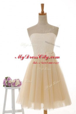 Discount Tulle and Lace Strapless Sleeveless Zipper Lace in Champagne