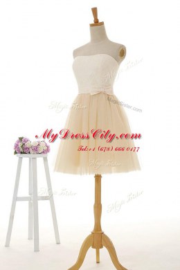 Discount Tulle and Lace Strapless Sleeveless Zipper Lace in Champagne