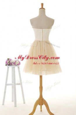Discount Tulle and Lace Strapless Sleeveless Zipper Lace in Champagne